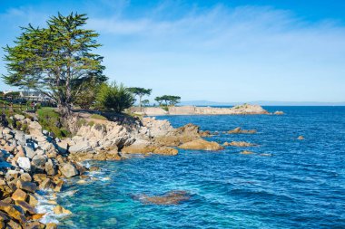 Pacific Grove, Monterey, Kaliforniya, ABD