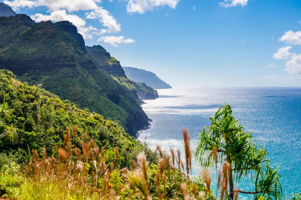 Hawaii Kauai Napali coast Kalalau trail — Stock Photo, Image