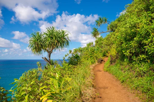 Hawaii Kauai Napali coast Kalalau trail — Stock Photo, Image