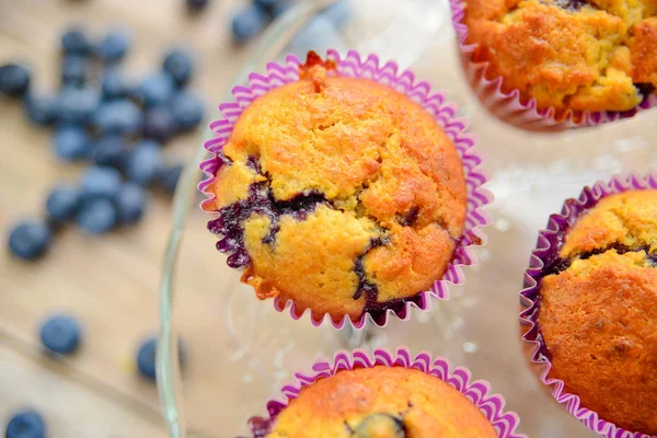 Deliciosos muffins caseiros de mirtilo com mirtilos frescos Fotos De Bancos De Imagens
