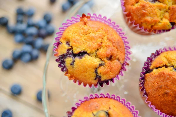 Pyszne domowe borówki Muffiny z jagodami świeży Zdjęcie Stockowe