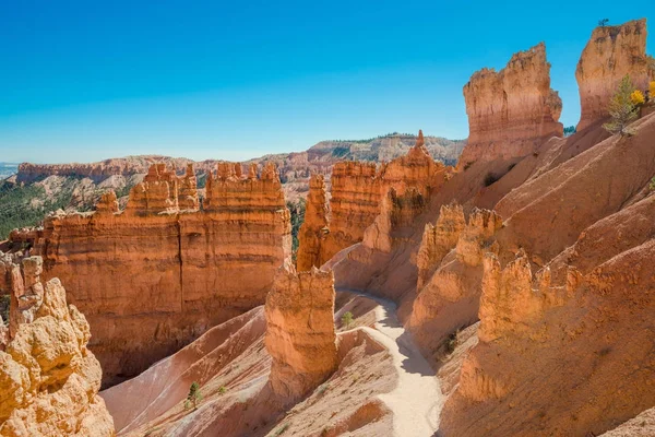 Parque Nacional Bryce Canyon, Utah —  Fotos de Stock