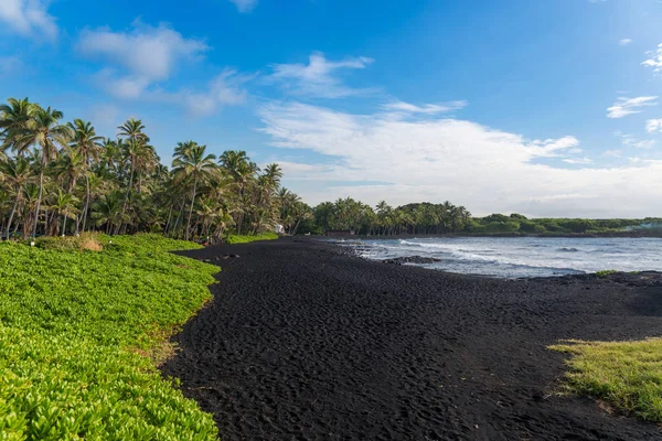 Punaluu чорний розташований на піщаному пляжі Великому острові, Гаваї — стокове фото