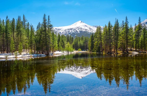 Lustro jeziora - Park Narodowy Yosemite, Kalifornia, Stany Zjednoczone Ameryki Obrazek Stockowy