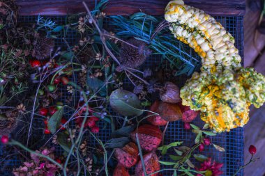 Sonbaharda kır evi çiçekleri