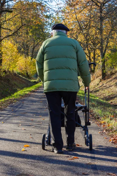 Hombre mayor con rollator —  Fotos de Stock
