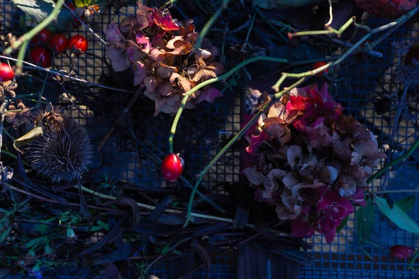 Höst färger stuga trädgård blommor på hösten — Stockfoto