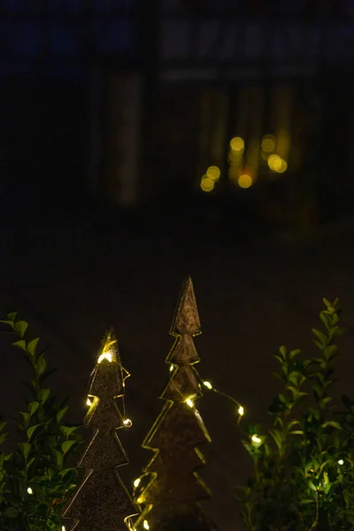 Arbre Noël Avec Lumières Led Dans Célébration Hiver — Photo