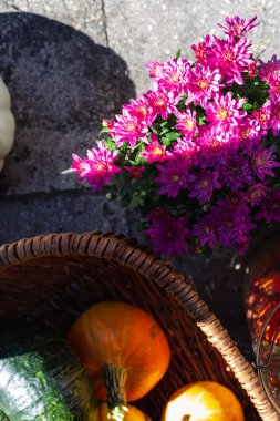 Balkabağı Şükran Günü dekorasyon sepeti Sonbahar güneşli öğleden sonra