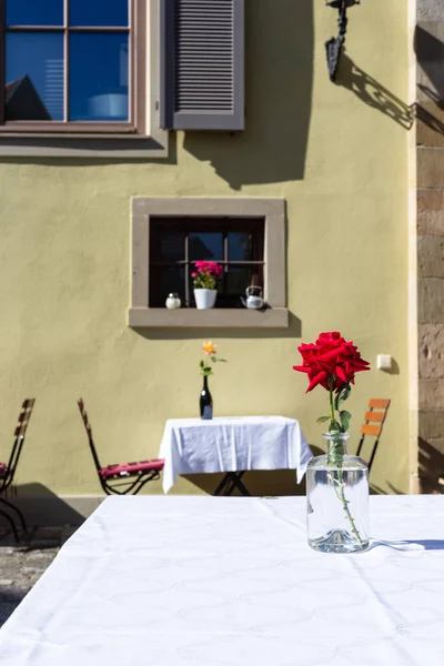 Décoration Roses Dans Jardin Restaurant Sur Une Table Bouteille — Photo