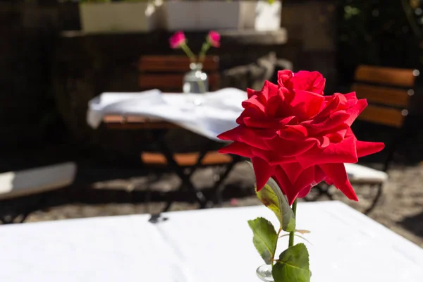 Décoration Roses Dans Jardin Restaurant Sur Une Table Bouteille — Photo
