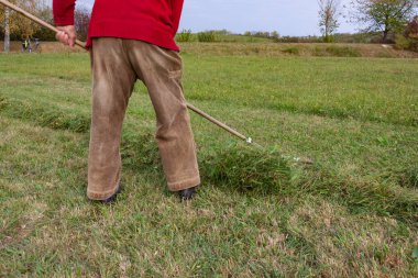 Yaşlı çiftçi çimenleri tırmıklıyor