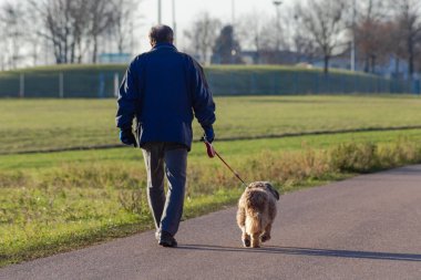 Güney Almanya 'da güneşli bir öğleden sonra köpeğiyle gezen bir adam.