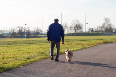 Güney Almanya 'da güneşli bir öğleden sonra köpeğiyle gezen bir adam.