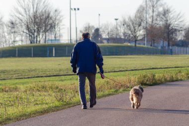 Güney Almanya 'da güneşli bir öğleden sonra köpeğiyle gezen bir adam.