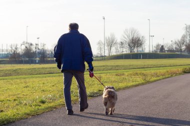 Güney Almanya 'da güneşli bir öğleden sonra köpeğiyle gezen bir adam.