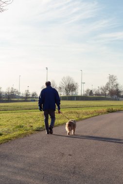 Güney Almanya 'da güneşli bir öğleden sonra köpeğiyle gezen bir adam.