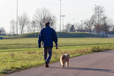 Güney Almanya 'da güneşli bir öğleden sonra köpeğiyle gezen bir adam.