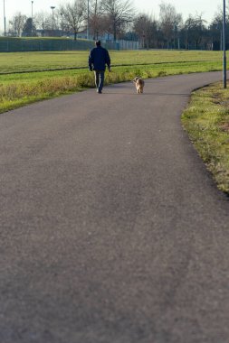Güney Almanya 'da güneşli bir öğleden sonra köpeğiyle gezen bir adam.