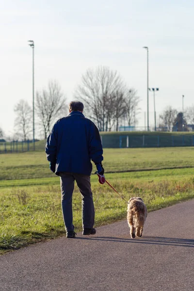Güney Almanya 'da güneşli bir öğleden sonra köpeğiyle gezen bir adam.
