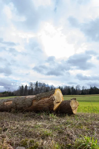 Tronco Legno Lungo Nella Campagna Tedesca Meridionale Campo Verde — Foto Stock