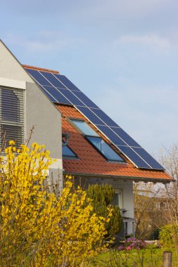 Güney Almanya 'da ilkbahar güneşli bir günde güneş panelleri ve sarı çiçekli çatı.