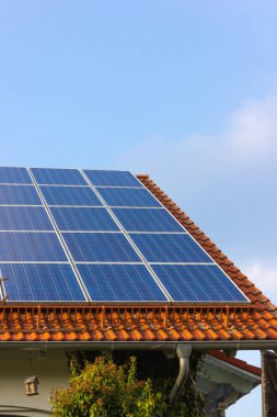 Güney Almanya 'da ilkbahar güneşli bir günde güneş panelleri ve sarı çiçekli çatı.