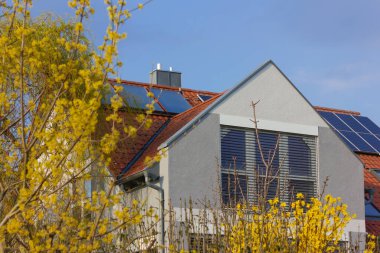 Güney Almanya 'da ilkbahar güneşli bir günde güneş panelleri ve sarı çiçekli çatı.