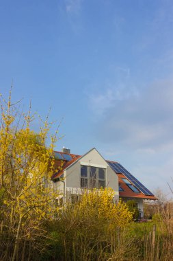 Güney Almanya 'da ilkbahar güneşli bir günde güneş panelleri ve sarı çiçekli çatı.