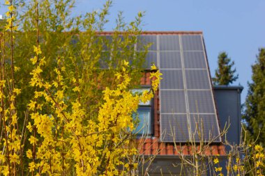 Güney Almanya 'da ilkbahar güneşli bir günde güneş panelleri ve sarı çiçekli çatı.