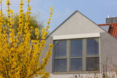 Güney Almanya 'da ilkbahar güneşli bir günde güneş panelleri ve sarı çiçekli çatı.