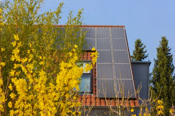 Dach Mit Sonnenkollektoren Und Gelben Blumen Sonnigen Frühlingstag Süddeutschland — Stockfoto