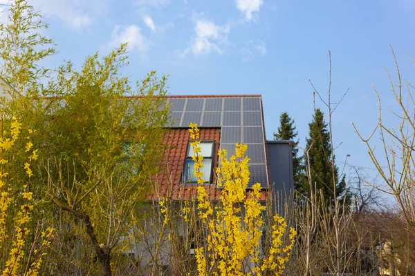 Tetto Con Pannelli Solari Fiori Gialli Sud Germania Primavera Giornata — Foto Stock