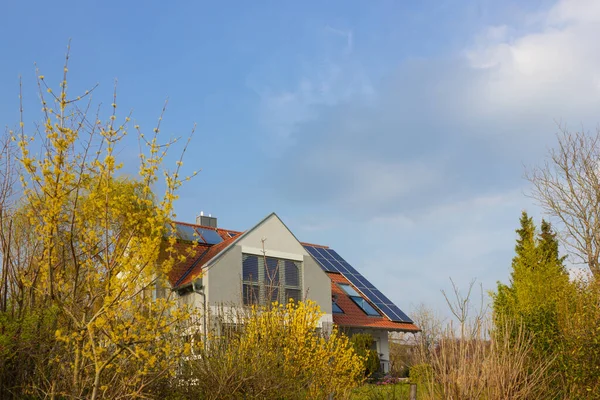 Toit Avec Des Panneaux Solaires Des Fleurs Jaunes Allemagne Sud — Photo