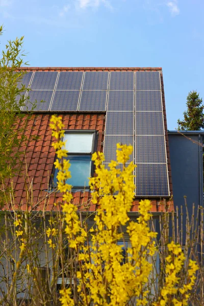 rooftop with solar panels and yellow flowers at south germany springtime sunny day