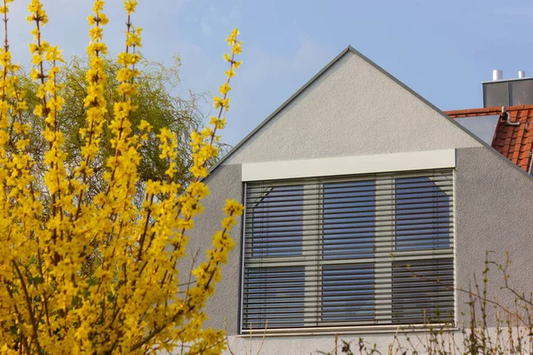 Toit Avec Des Panneaux Solaires Des Fleurs Jaunes Allemagne Sud — Photo