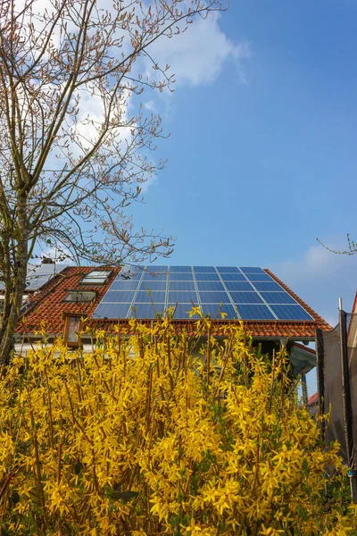 Tetto Con Pannelli Solari Fiori Gialli Sud Germania Primavera Giornata — Foto Stock