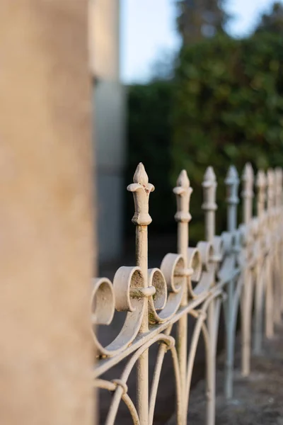 Cerca Ferro Cidade Com Ornamentos Decorativos — Fotografia de Stock