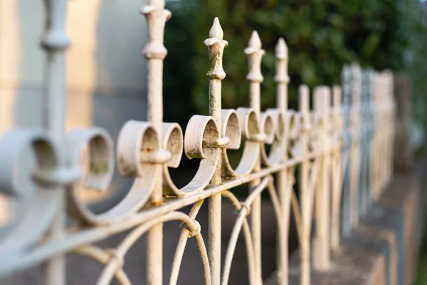 Cerca Ferro Cidade Com Ornamentos Decorativos — Fotografia de Stock