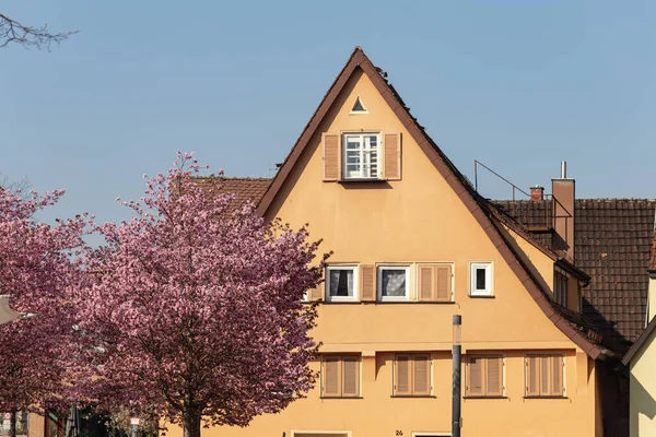 Fassaden Historischer Fachwerkhäuser Süddeutschland — Stockfoto