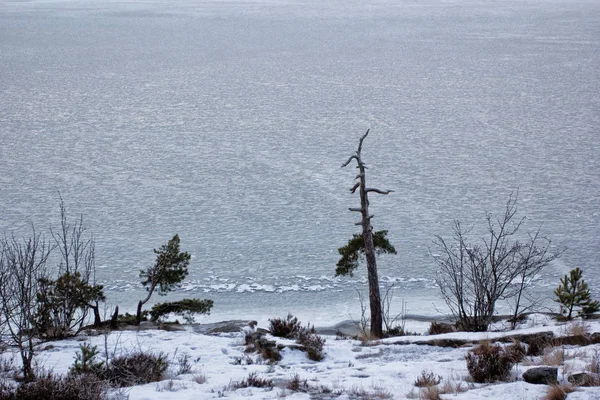 Vista do fiorde de oslo gelado no inverno — Fotografia de Stock
