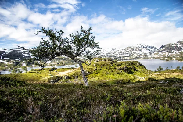 Vista da natureza na Noruega — Fotografia de Stock