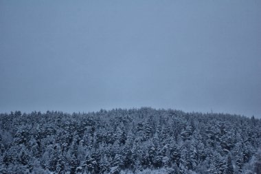 Norveç'te üç kez Kış saati