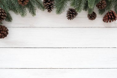 Köknar ağacı şube ve çam kozalakları Noel çerçeve yaptı