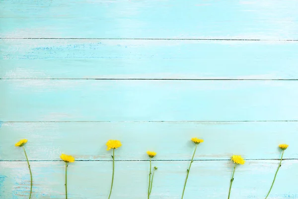 Yellow Chrysanthemum Flowers Blue Wooden Background Concept Flowers Spring Top — Stock Photo, Image