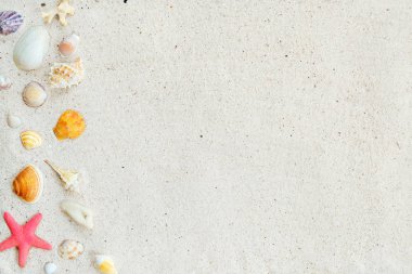 Yaz arka plan. Plaj kum kabukları, deniz yıldızı ve mercan ile Üstten Görünüm. 