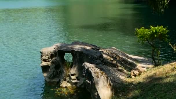 Primer plano de roca en el tranquilo lago de la selva . — Vídeo de stock