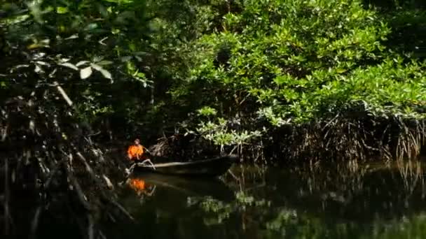 Рибалка на дерев'яному човні в мангровому лісі — стокове відео