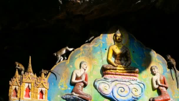 Monkeys play over golden sitting buddha. — Stock Video