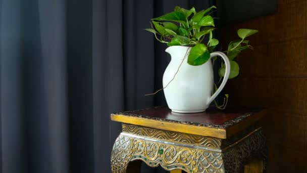 Натюрморт с белым кувшином и зелеными листьями на стуле с тайским орнаментом — стоковое видео
